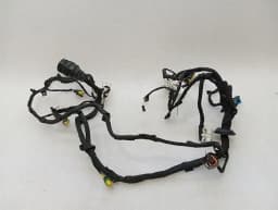 FERRARI Ferrari FF F151 Wiring Loom RIGHT DOOR 283749 Harness DOOR RIGHT — thumbnail 1