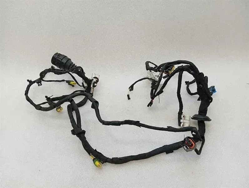 FERRARI Ferrari FF F151 Wiring Loom RIGHT DOOR 283749 Harness DOOR RIGHT