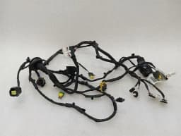 FERRARI Ferrari FF F151 Wiring Loom LEFT DOOR 283750 Harness DOOR LEFT — thumbnail 1