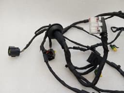 FERRARI Ferrari FF F151 Wiring Loom LEFT DOOR 283750 Harness DOOR LEFT — thumbnail 3