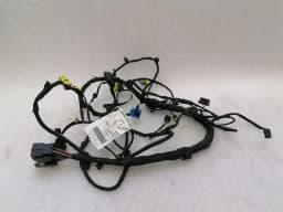 FERRARI Ferrari GTC4 Lusso F151M Wiring Loom 815270 RH DOOR RHD Wiring Harness — thumbnail 1