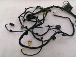 FERRARI Ferrari GTC4 Lusso F151M Wiring Loom 815272 LH DOOR RHD Wiring Harness — thumbnail 3
