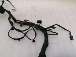 FERRARI Ferrari GTC4 Lusso F151M Wiring Loom 815270 RH DOOR RHD Wiring Harness — thumbnail 5