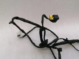 FERRARI Ferrari GTC4 Lusso F151M Wiring Loom 815272 LH DOOR RHD Wiring Harness — thumbnail 10