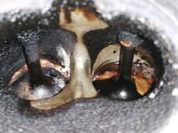 MERCEDES-BENZ MERCEDES CLS63 AMG W219 RIGHT CYLINDER HEAD A1560106420 CYLINDER HEAD RIGHT V8 — thumbnail 9