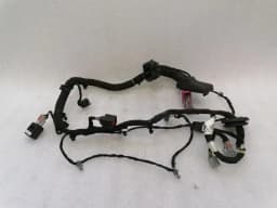 CHEVROLET Chevrolet Corvette C7 Wiring Loom 23440992 Wiring Harness LH DOOR Left Door — thumbnail 1