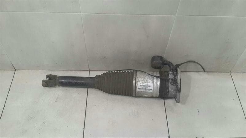 BENTLEY Bentley Continental GT W12 shock absorber rear 3W0616001E shock absorber rear Li