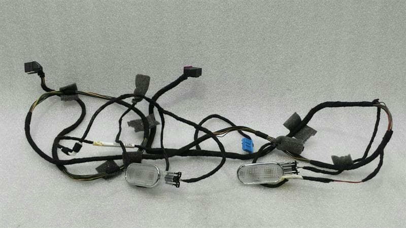 BENTLEY BENTLEY CONTINENTAL FLYING SPUR Roof Wiring 3W5971100A Wiring Harness Headliner