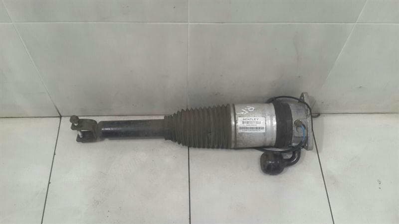 BENTLEY Bentley Continental GT W12 shock absorber rear 3W0616002E shock absorber rear RE