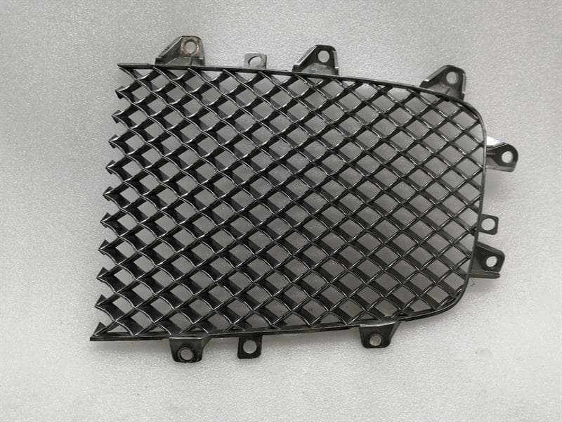 BENTLEY BENTLEY CONTINENTAL FLYING TRACK Left Front Grill 3W0853683D Radiator Grille Left
