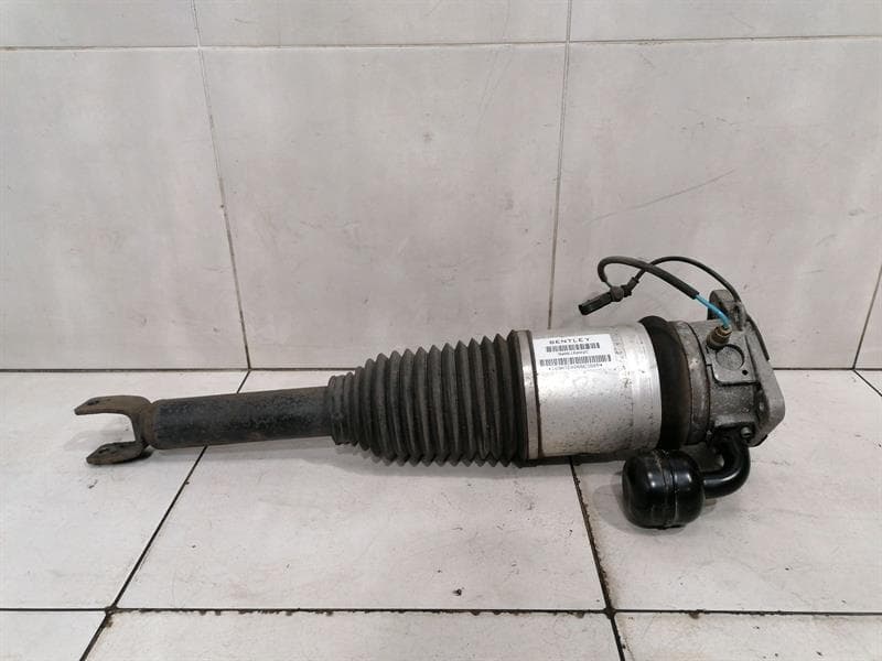 BENTLEY BENTLEY CONTINENTAL GT shock absorber RRH 3W0616002C shock absorber rear right