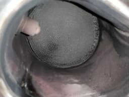 BENTLEY BENTLEY CONTINENTAL GT W12 Catalytic Converter 3W0253059N Catalyst Set — thumbnail 6