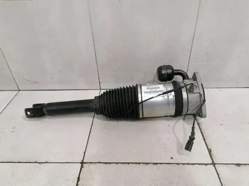 BENTLEY Bentley Continental GT W12 shock absorber rear 3W8616001 shock absorber rear