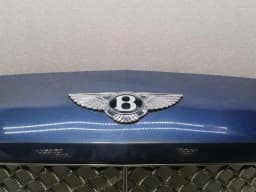 BENTLEY 2011-2015 BENTLEY CONTINENTAL GT W12 FRONT GRILLE 3W3853651 RADIATOR GRILLE GRILL — thumbnail 2