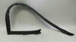 DODGE DODGE CHALLENGER SRT Right Door Seal 04575890AD Door Seals Right — thumbnail 1