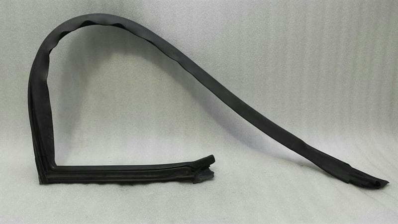 DODGE DODGE CHALLENGER SRT Right Door Seal 04575890AD Door Seals Right