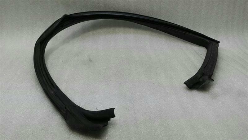 DODGE DODGE CHALLENGER SRT Left Door Seal 04575891AD Door Seals Left