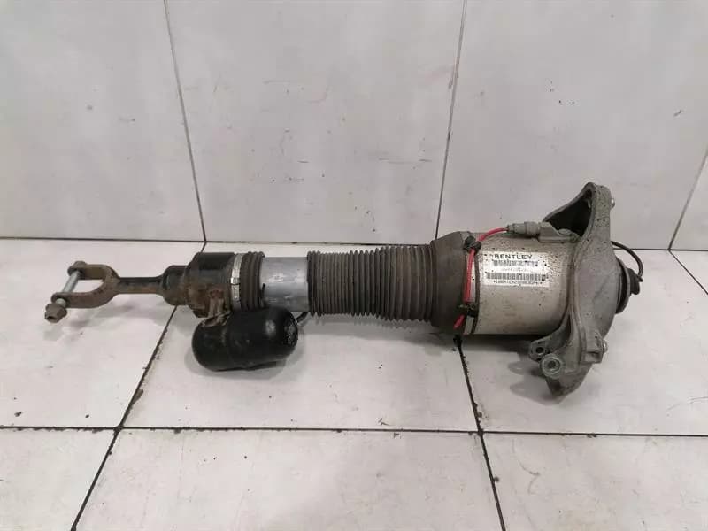 Bentley Continental GT Shock Absorber Front 3W0616039C Shock Absorber Front Left