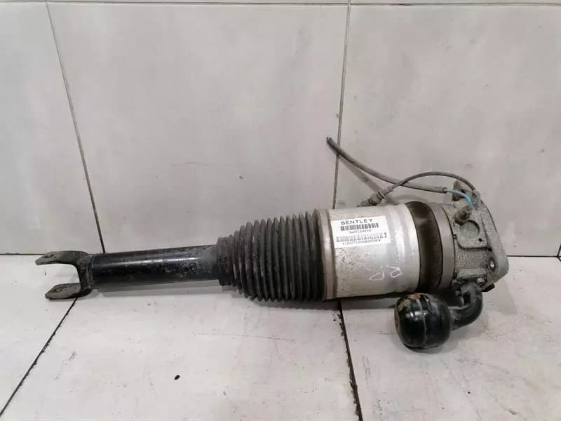 Bentley Continental GT W12 Shock Absorber RRH 3W0616002B Rear Shock Absorber