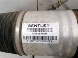 BENTLEY Bentley Continental GT W12 Shock Absorber RRH 3W0616002B Rear Shock Absorber — thumbnail 9