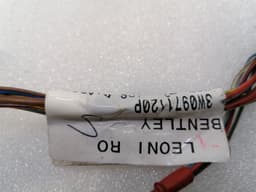 BENTLEY Bentley Continental GT W12 Left Door Wiring Loom 3W0971120P Left Door Harness — thumbnail 2