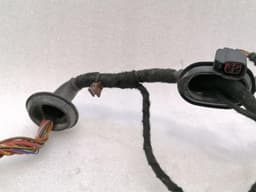 BENTLEY Bentley Continental GT W12 Left Door Wiring Loom 3W0971120P Left Door Harness — thumbnail 5