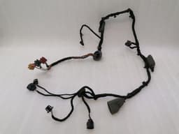 BENTLEY Bentley Continental GT W12 Left Door Wiring Loom 3W0971120P Left Door Harness — thumbnail 6