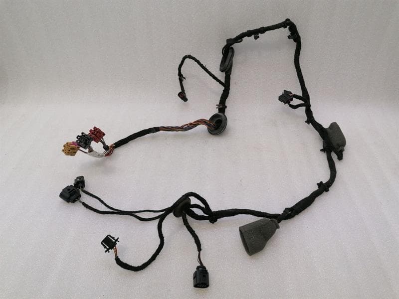 BENTLEY Bentley Continental GT W12 Left Door Wiring Loom 3W0971120P Left Door Harness