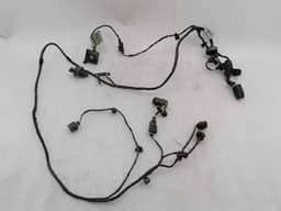 BENTLEY BENTLEY CONTINENTAL GT W12 Front PDC Wiring Loom 3WO971095H Front PTS Harness — thumbnail 1