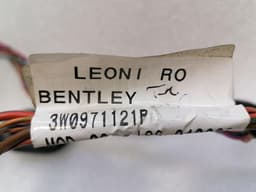 BENTLEY BENTLEY CONTINENTAL GT Right Door Wiring Loom 3W0971121P Right Door Harness — thumbnail 5