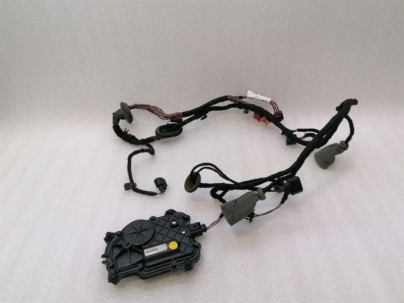 BENTLEY BENTLEY CONTINENTAL GT Right Door Wiring Loom 3W0971121P Right Door Harness