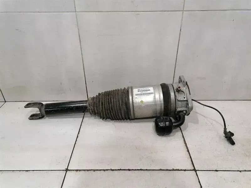 Bentley Continental GT W12 shock absorber rear 3W8616002 shock absorber rear