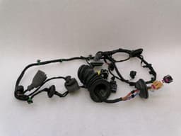 BENTLEY Bentley Continental GT W12 Wiring Loom 3W0971121AB Wiring Harness PASSENGER DOOR — thumbnail 1