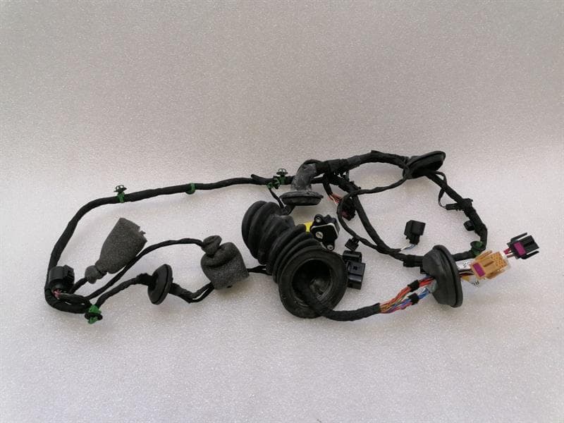 BENTLEY Bentley Continental GT W12 Wiring Loom 3W0971121AB Wiring Harness PASSENGER DOOR