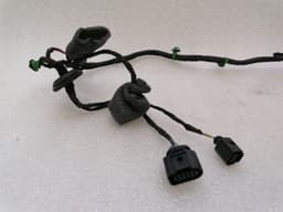 BENTLEY Bentley Continental GT W12 Wiring Loom 3W0971121AB Wiring Harness PASSENGER DOOR — thumbnail 10