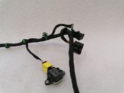 BENTLEY Bentley Continental GT W12 Wiring Loom 3W0971121AB Wiring Harness PASSENGER DOOR — thumbnail 6