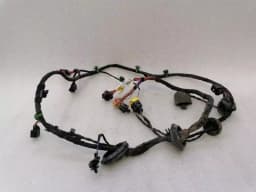 BENTLEY BENTLEY CONTINENTAL GT W12 Wiring Loom 3W0971120AB Wiring Harness DRIVERS DOOR — thumbnail 1