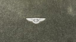 BENTLEY Bentley Continental GT Boat Overmat 3W0862607 Boot Liner — thumbnail 7