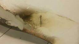 BENTLEY BENTLEY CONTINENTAL FLYING TRACK GT Bonnet 3W0823031K bonnet FAULTY — thumbnail 6