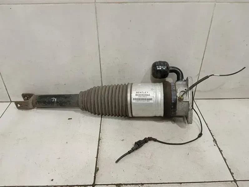BENTLEY Bentley Continental GT W12 shock absorber rear 3W0616001B shock absorber rear