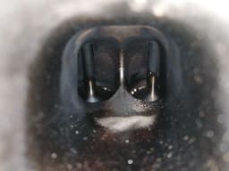 BENTLEY Bentley Continental GT W12 Cylinder Head 7C198202 1-6 RIGHT CYLINDER HEAD — thumbnail 2