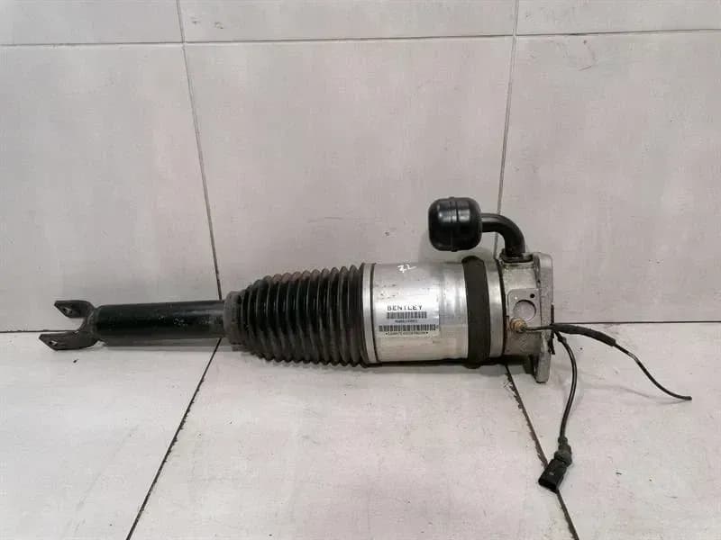 BENTLEY BENTLEY FLYING TRACK MK2 13-19 Shock Absorber RLH 4W0616001 Shock Absorber Rear L