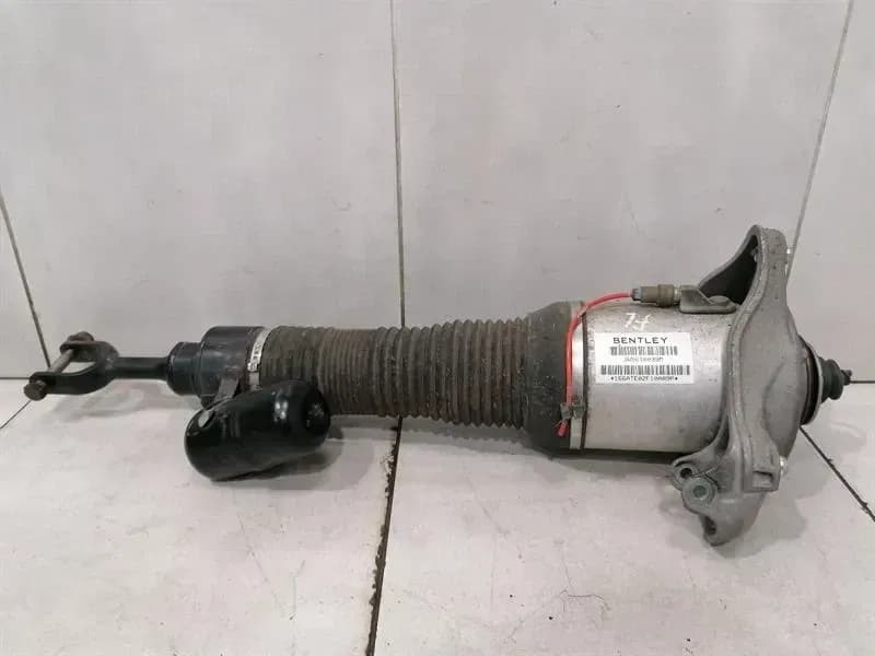 BENTLEY BENTLEY FLYING TRACK Shock Absorber Front 3W5616039M Shock Absorber Front Left