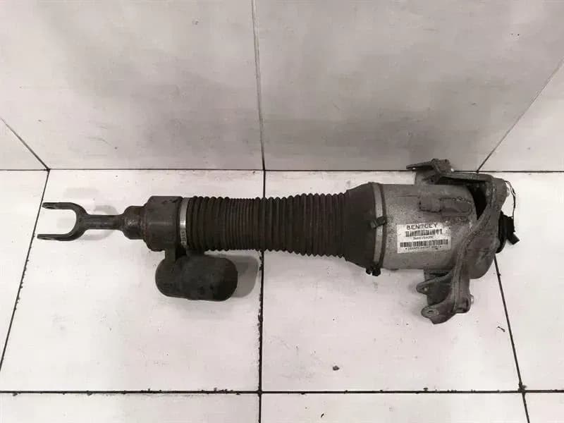 Bentley Continental GT Shock Absorber Front 3W0616039C Shock Absorber Front Left