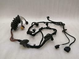 BENTLEY Bentley Continental GT W12 Left Door Wiring Loom 3W0971121M Left Door Harness — thumbnail 1