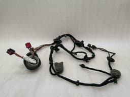 BENTLEY Bentley Continental GT W12 Left Door Wiring Loom 3W0971121M Left Door Harness — thumbnail 2