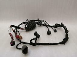 BENTLEY Bentley Continental GT Passenger Door Wiring 3W0971120M Door Wiring Harness Passenger — thumbnail 1