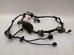 BENTLEY Bentley Continental GT Passenger Door Wiring 3W0971120M Door Wiring Harness Passenger — thumbnail 2