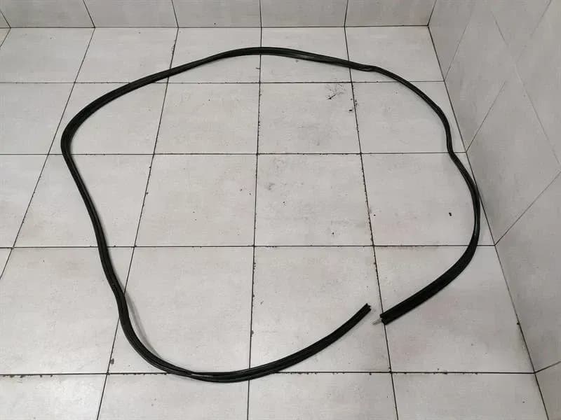 Chevrolet Corvette C6 Boat Liftgate Seal 20869139 Tailgate Seals
