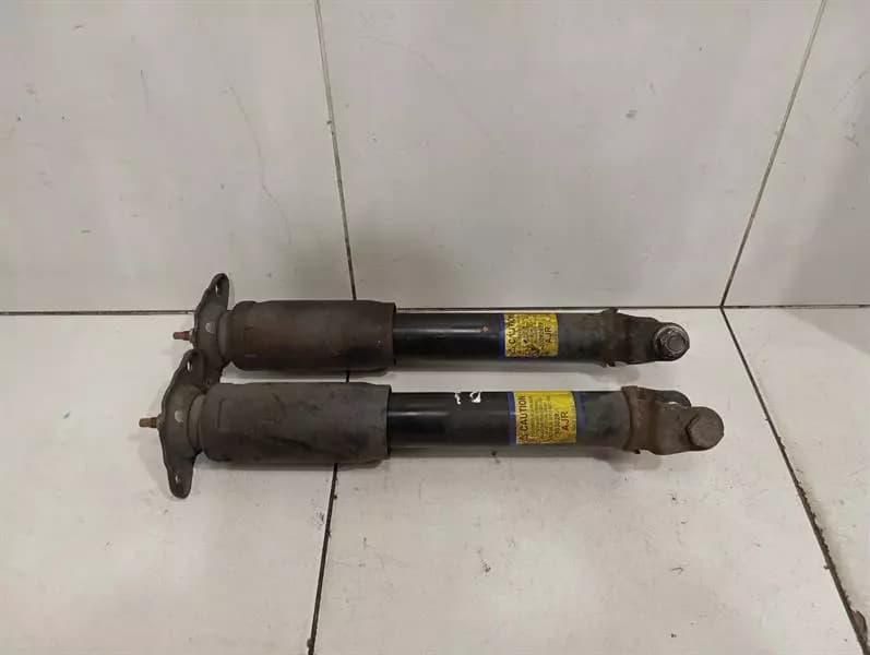 Chevrolet Corvette C6 shock absorber rear set 10302879 shock absorber rear set